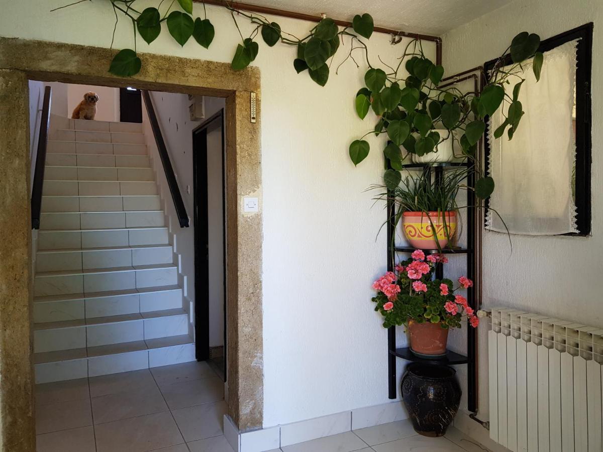 Apartment Melanie Skrbčići Екстериор снимка
